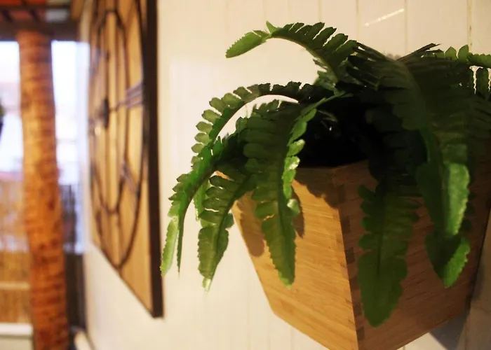 Invicta Flats - * Porto